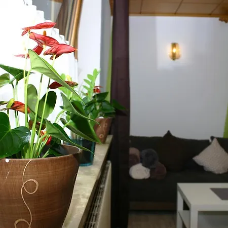 Harmonie Apartamento *
